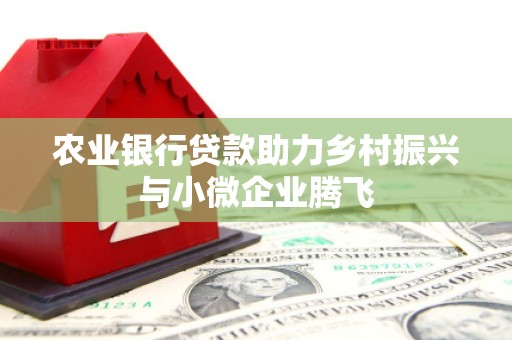 兴海农业银行贷款助力乡村振兴与小微企业腾飞
